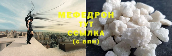 индика Богородицк
