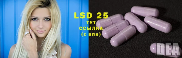сатива Бронницы