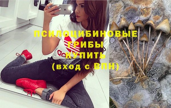 сатива Бронницы