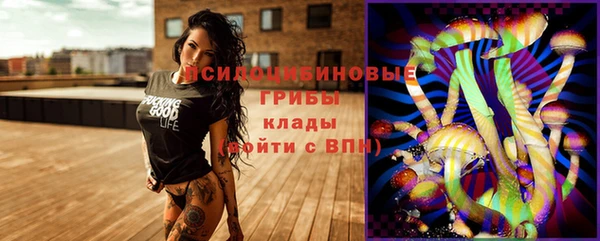 сатива Бронницы