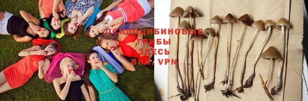 прущая мука Бугульма