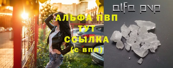 сатива Бронницы